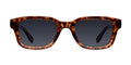 Biko Tigris Carbon