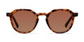 Chauen Tigris Brown