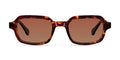 Dotia Tigris Brown