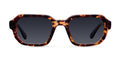 Tayo Tigris Carbon