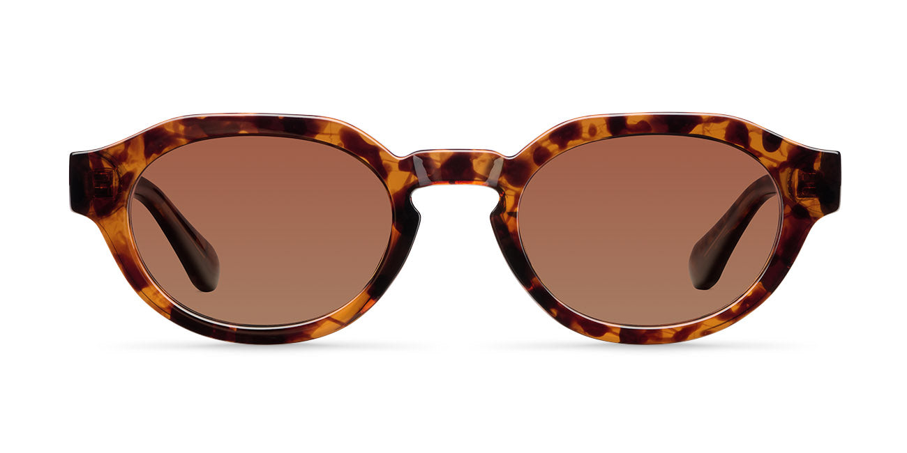 Tuma Tigris Brown