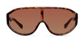 Zaki Tigris Brown